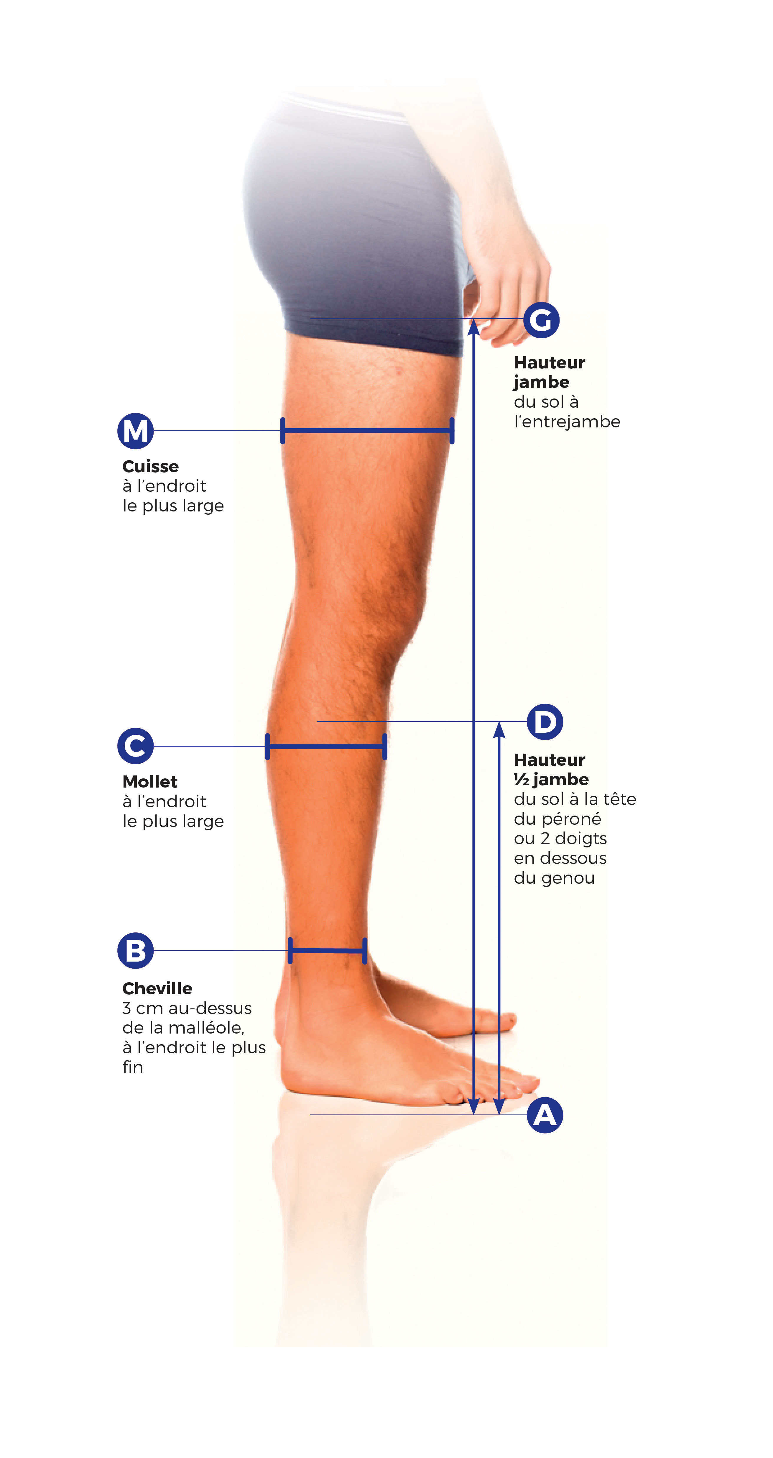 tour de taille moyen d'un homme